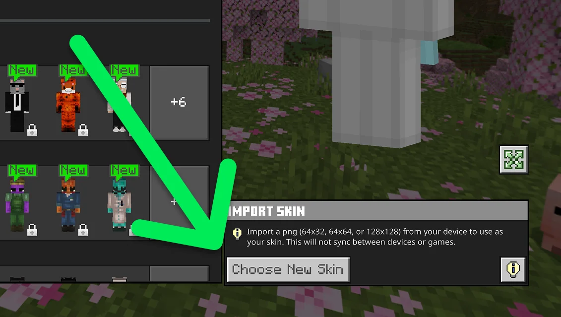 Import Skin panel with Choose New Skin to import a custom Minecraft skin PNG in Bedrock