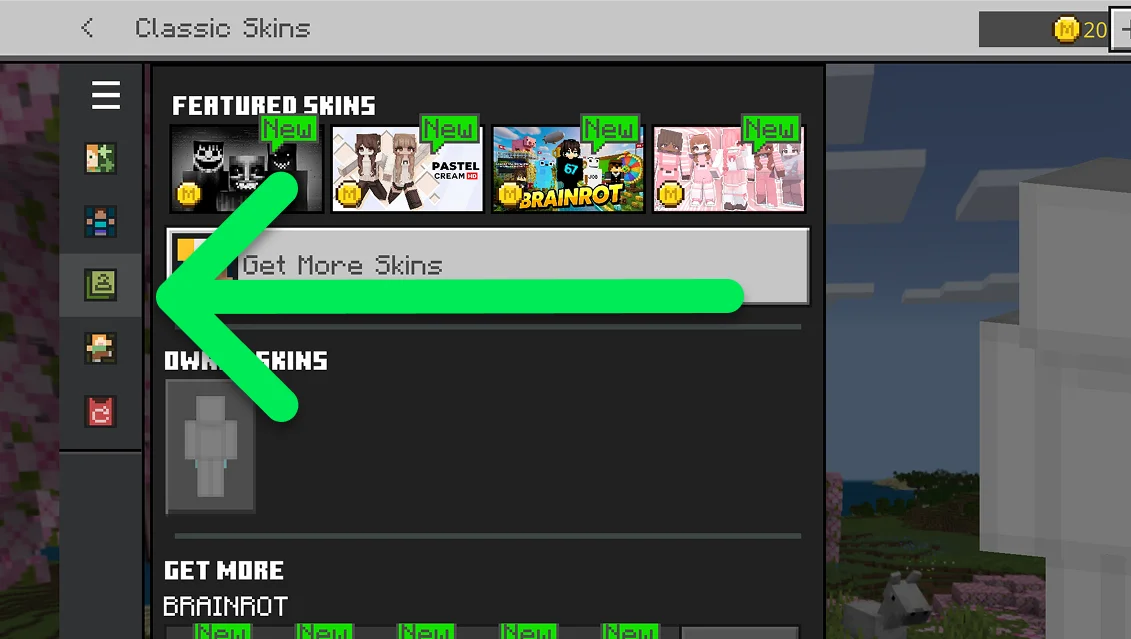 Minecraft Classic Skins screen showing the Owned Skins custom skin slot